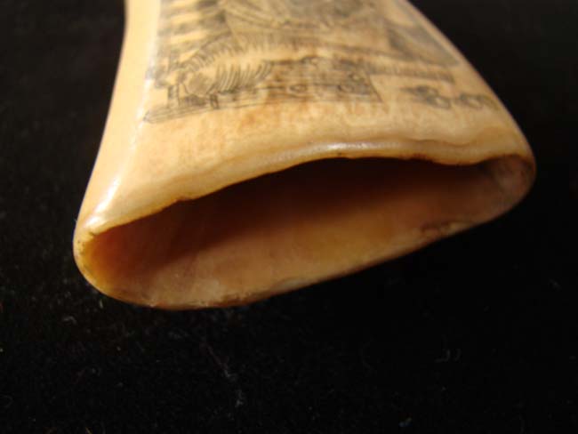 A fine late 19th or early 20th century scrimshawed whale's tooth with Civil War naval battle — image 4